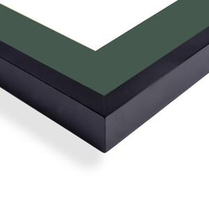 8x10 to 11x 14 Langford Frame with a GREEN Matt 